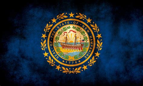 Rustic Grunge New Hampshire State Flag Stock Illustratie