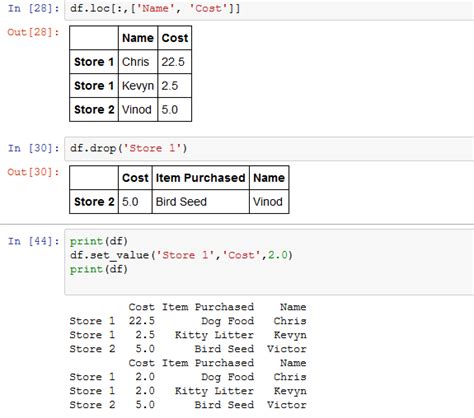 Pandas Python Dataframe Set Value By Position And Not Index Stack