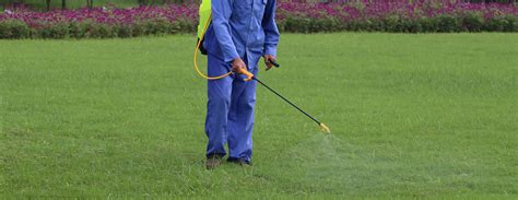 Help us provide the best service by taking. fertilization - South Florida Top Pest Control | Manning ...