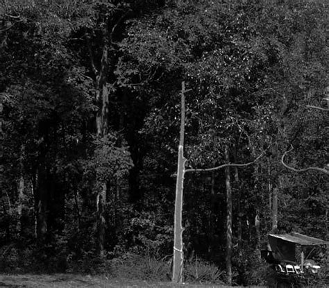 We did not find results for: The Woods: Evil Dead Cabin In The Woods