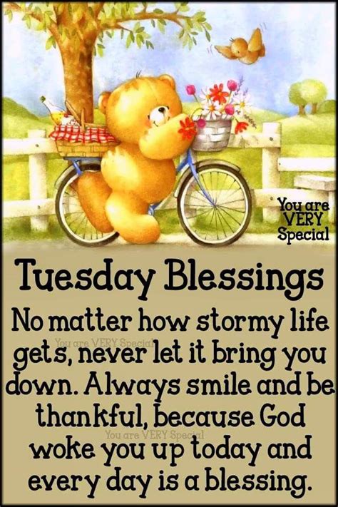 Funny tuesday memes these good morning tuesday blessings are all you need to stay. Tuesday Blessings! (With images) | Happy tuesday quotes ...