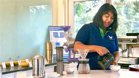How To Brew The Perfect Cup Of Coffee Tips From A Coffee Expert