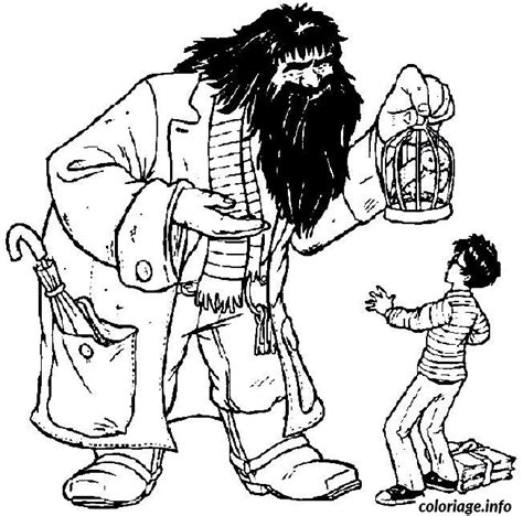Mais, nous avons aussi trouvé des images de leurs alliés : Coloriage Hagrid donne la chouette Hedwige a Harry Potter ...