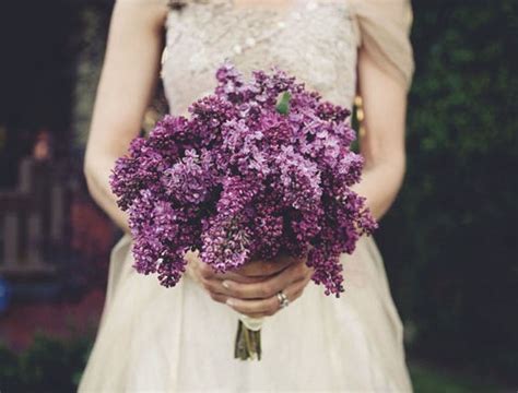 We did not find results for: Bouquet Bridal: Purple Lilac Wedding Bouquet