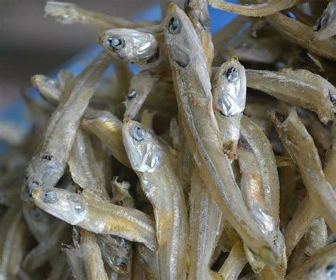 Ikan bilis mata biru pangkor kak jem klik link utk order dgn kak jem linktr.ee/ikanbilispangkor. Cara Nak Kenal Ikan Bilis Yang Baru & Berkualiti. Baru ...