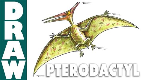 Check spelling or type a new query. How to Draw a Pterodactyl - YouTube