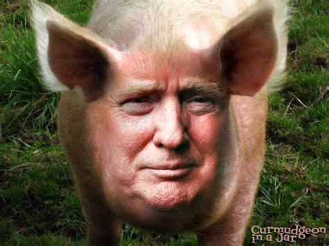 Nothing Witty Just Trump As A Pig A Trumpig Curmudgeon In A Jar