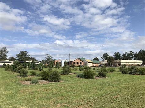 Which Plant Where? | Western Sydney University