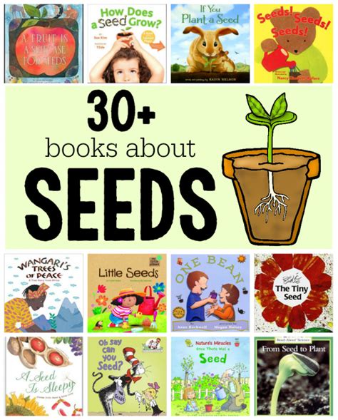 Books About Seeds And Plants The Measured Mom
