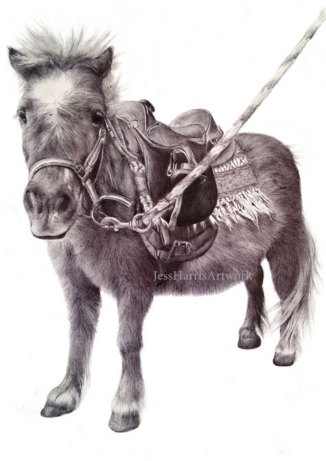 Over the centuries a diverse range of creatures have been developed as a theme in many different genres. biro drawing of a pony called Gilly | Biro drawing, Drawings, Pony