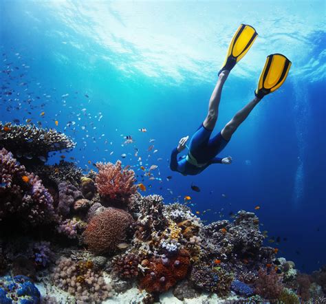 The Science Of Scuba Flippers Ultimate Dive Travel