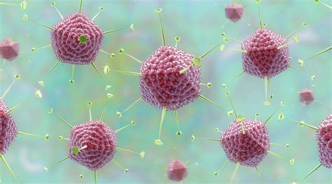 Adenovirus Type 4 Infections More Common Than Thought Large Scale