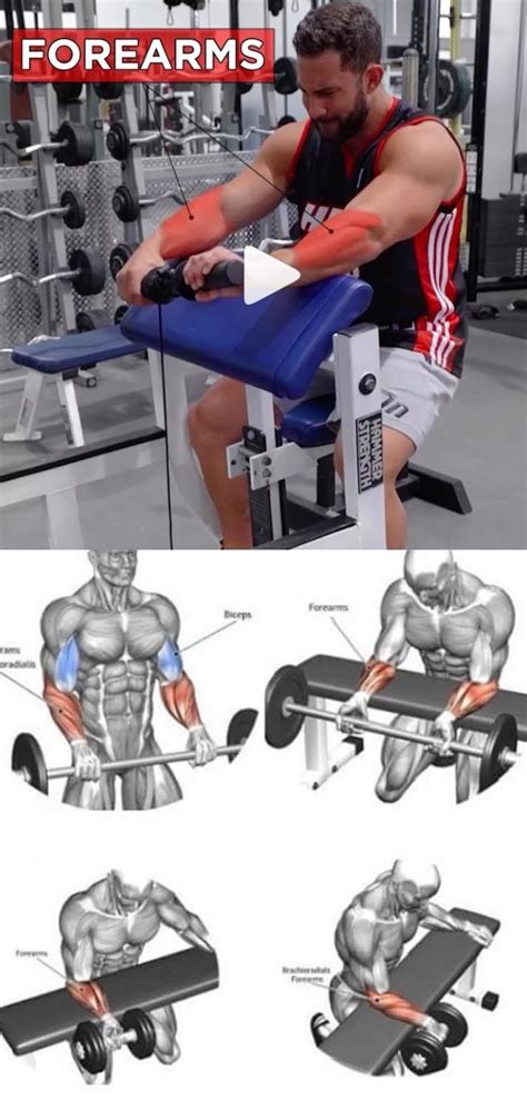 The Best Forearms Exercises Of All Time Your Forearms Dont Get The