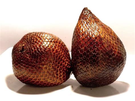 Kulit batang yang bisa di jadikan kolase di antaranya rambutan, kulit pisang, dan kelopak bambu. Manamon: Manfaat Buah Salak