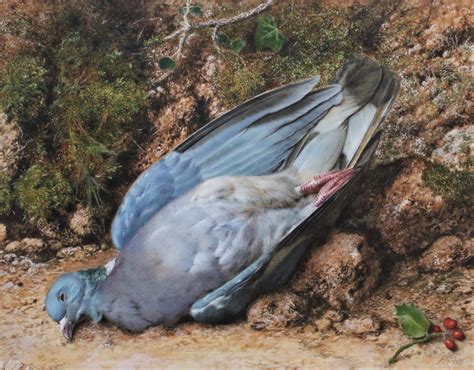 Dead Wood Pigeon By John Sherrin British Sporting Art