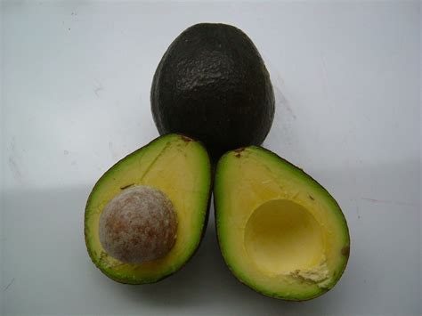 Potensi perlis sebagai pengeluar buah tin terbesar di asia tenggara mampu digapai apabila pembangunan projek penanaman pokok tin atau nama saintifiknya ficus carica dilakukan secara. Bibit Buah Bunton Malang: Januari 2012