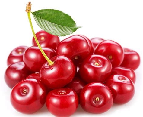 Acerola Cherry Extract Pack Size 5 Kg In Hdpe Drums And Ldpe Bags At Rs