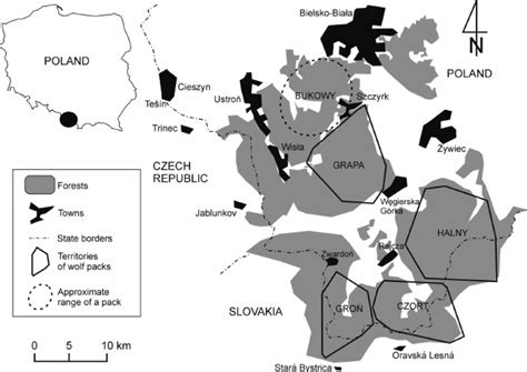 Distribution Of Wolf Packs Within The Study Area 19962003 Names Of