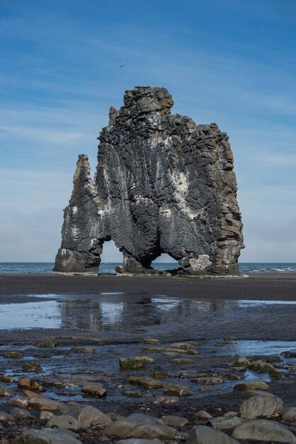 Hvitserkur Rock Basaltique De Dinosaure Vertical En Islande Photo Premium