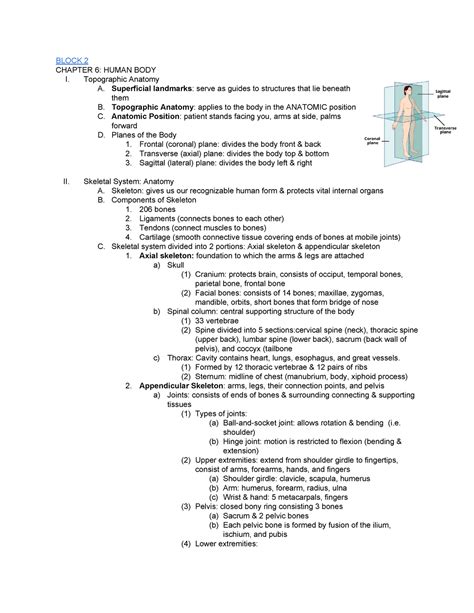 Anatomy And Physiology Study Guide Block 2 Chapter 6 Human Body I