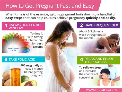 How To Get Pregnant Fast Easy Artofit