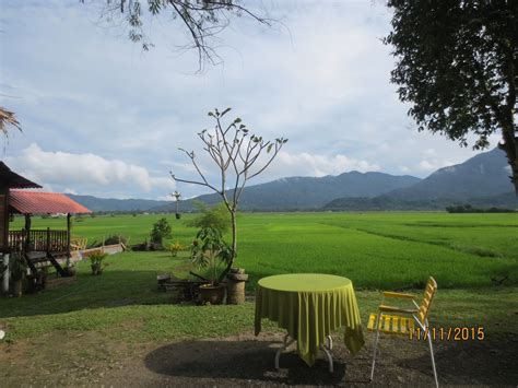 And for those wanting to experience it, nasi dagang pak malau is the perfect place to be. SAJE SUKA-SUKA: Adegan sebabak Geng UB pi Langkawi