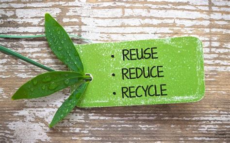 Seriously Easy Ways To Live A Little Greener Reduce Waste Greenily