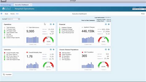 Hospital Operations Executive Dashboard Youtube