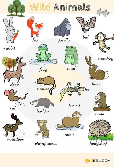 Wild Animal Vocabulary In English Eslbuzz Learning English Kartu
