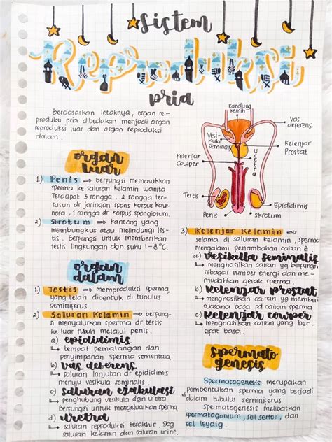 Inspiratif! Catatan Aesthetic Kelas 11 - Page 2 of 2 - Clear Indonesia News