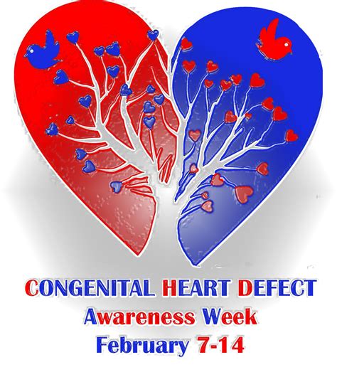 Pin By Kaitlyn Kiblinger On Chd Congenital Heart Defect Awareness Congenital Heart Defect