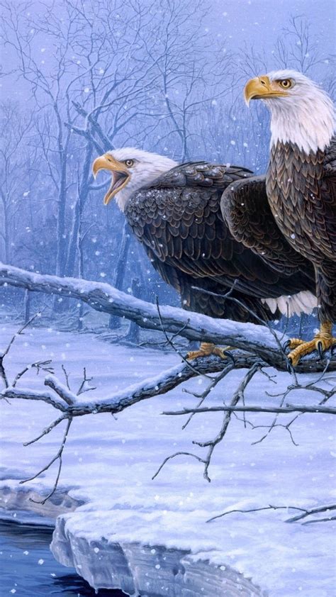 Bald Eagle Covered In Snow Hd Wallpaper Iphone 6 6s Plus Hd