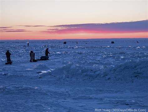 Lake Superior Ice Planet Sunrise Days Of Birds