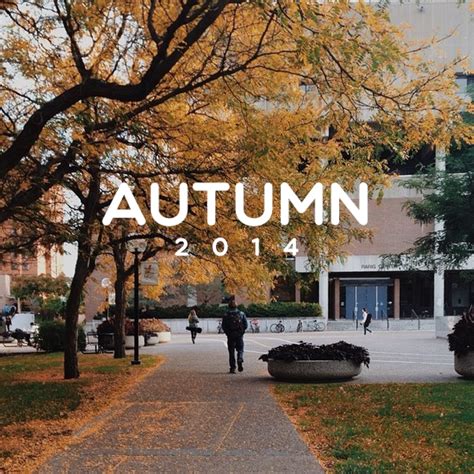 8tracks Radio Autumn 2014 24 Songs Free And Music Playlist