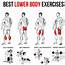 Pin By IDzpanwchuj On Sport And Exercise  Fitness Body Lower