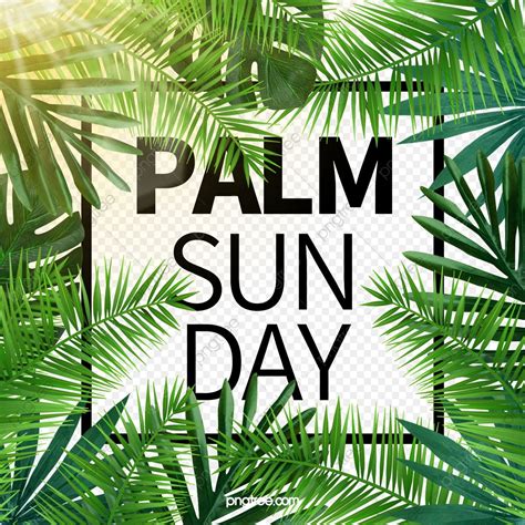 Clipart Images Png Images Palm Sunday Tropical Plants Graphic