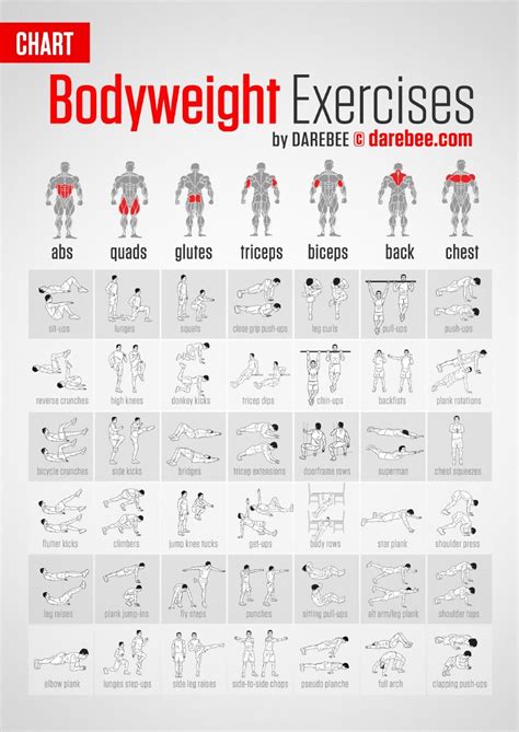 Jim Exercise Chart