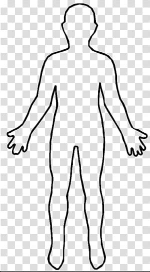 Download body outline woman stock vectors. woman anatomy outline clipart 10 free Cliparts | Download images on Clipground 2020