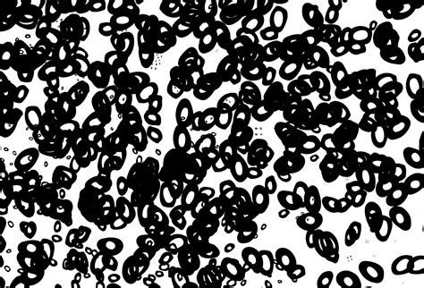 Black And White Vector Layout With Circle Shapes 14440128 Vector Art