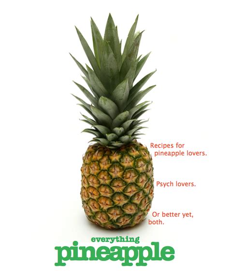 Free Download Psych Wallpaper Pineapple Watch Psychpineapple 500x700