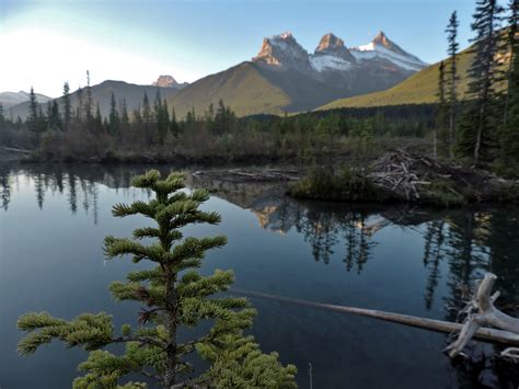 Wallpaper Mountain Canada Mountains Tree Nature Sisters Creek