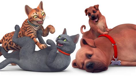 Sims Community On Twitter Thesims4 Cats And Dogs New Assets