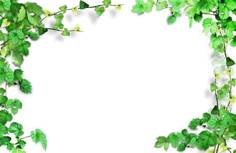 When one value is specified. Free photo: Green Leaves Frame - Decoration, Natural ...