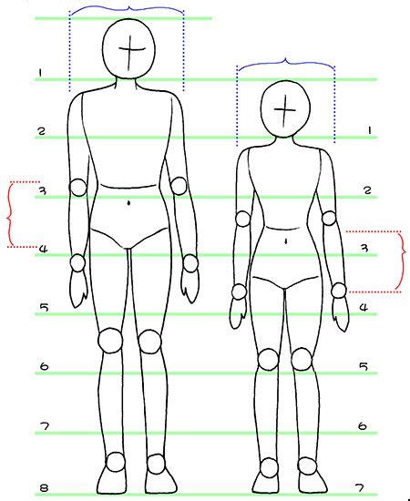 Body Proportion Basic Drawing Figure Drawing Pencil Sketches