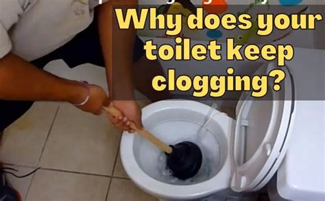 6 Reasons Your Toilet Keeps Clogging Ford S Plumbing Amp Heating Riset