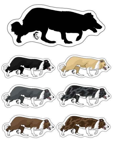 Border Collie Series Stickers Etsy