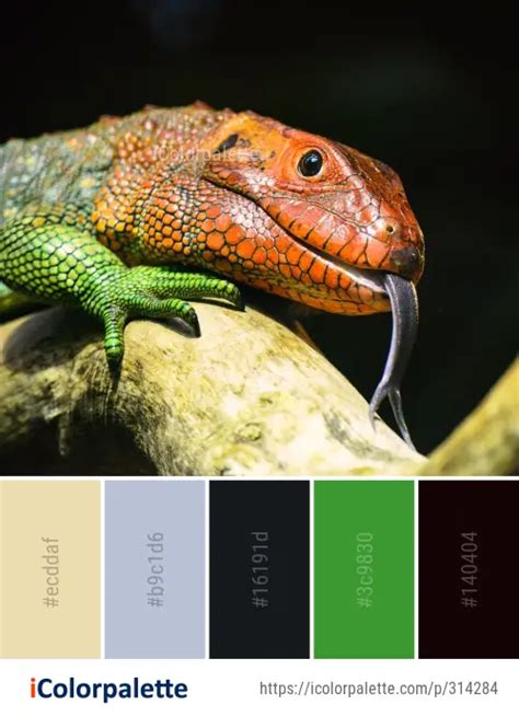 Color Palette Ideas From Reptile Scaled Lizard Image Icolorpalette