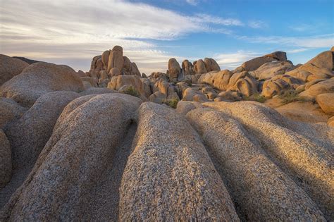 Joshua Tree Sunrise Photograph By Dustin Lefevre Fine Art America