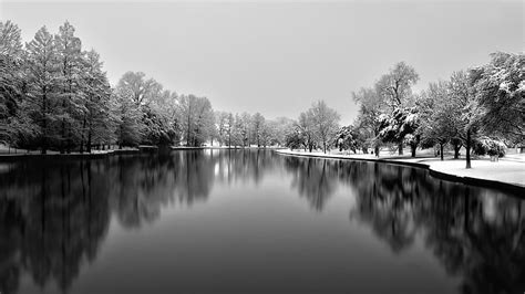 Hd Wallpaper Winter Snow White Forest Serene Monochrome Lakes