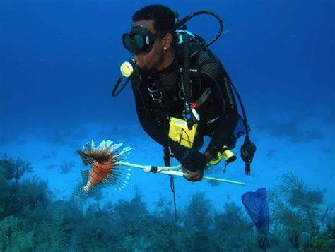 Responsible Underwater Hunting And Collecting Orlando Scuba Partners